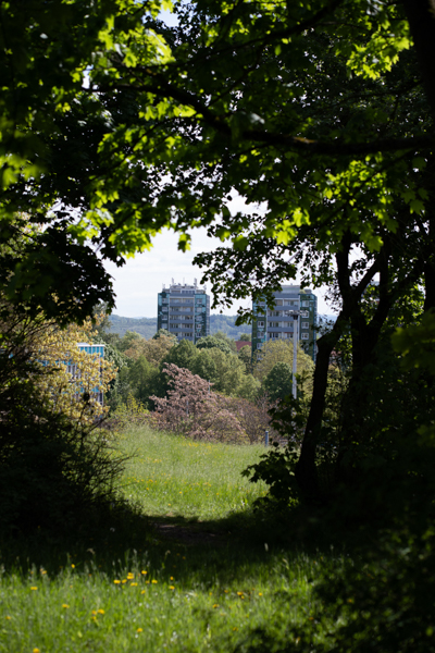 Route 14 Sparkasse Vogtland